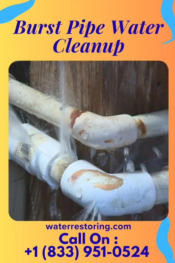 Burst Pipe Water Cleanup in Beverly Shores, IN