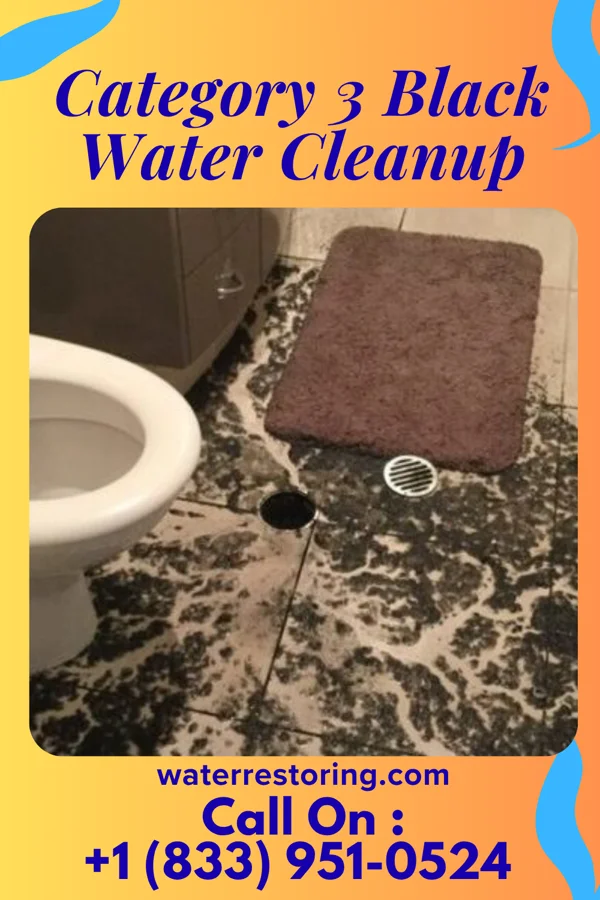 Category 3 Black Water Cleanup in Beverly Shores, IN