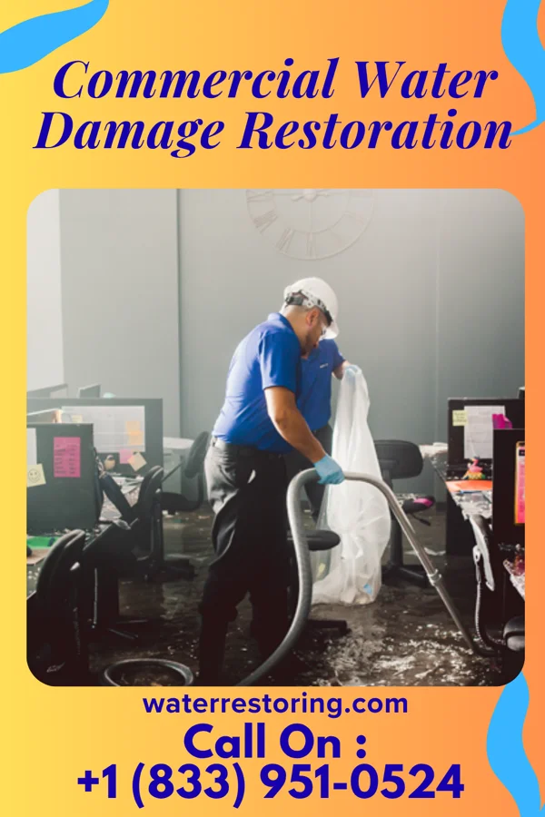 Commercial Water Damage Restoration in Beverly Shores, IN