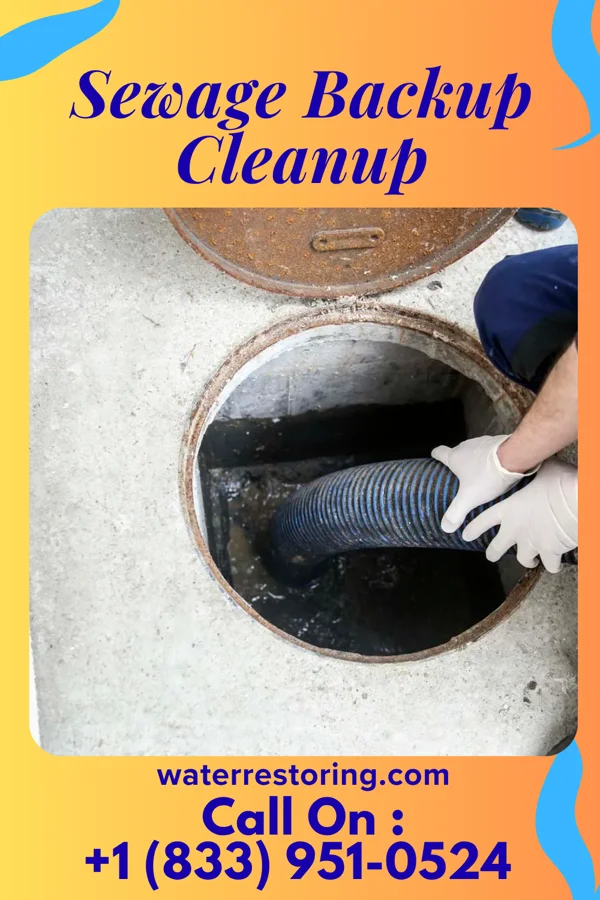 Sewage Backup Cleanup in Beverly Shores, IN