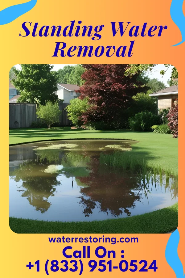 Standing Water Removal in Beverly Shores, IN